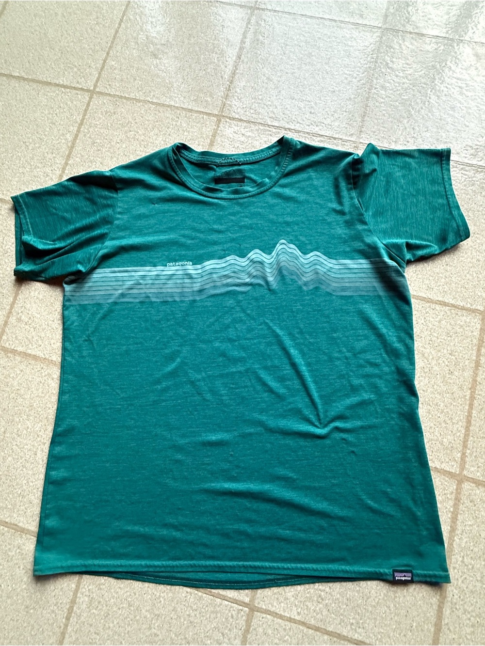 Patagonia Women's Capilene® Cool Daily Graphic Shirt Size L